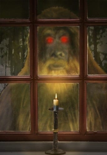 Bigfoot-in-the-Window