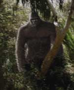 jesse_Sasquatch-photo_th