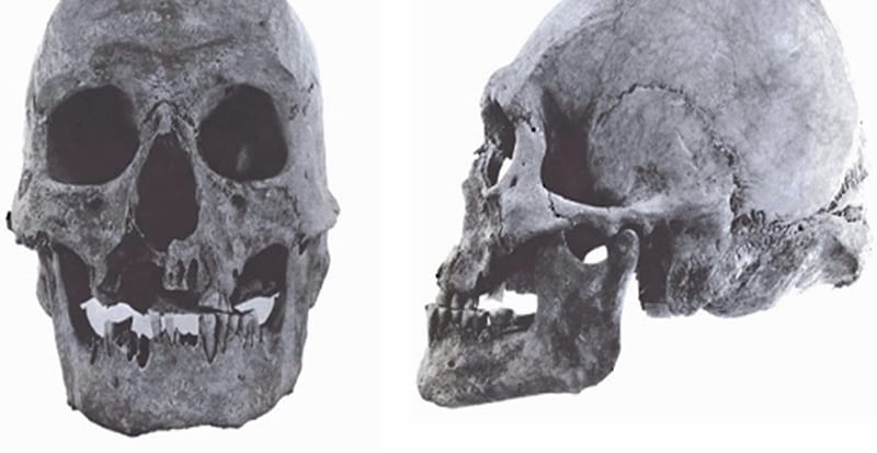 lovelock_giants_skull