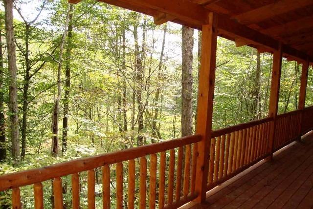 Aggressive Behavior At New Rural Cabin Site Near Stanton KY 