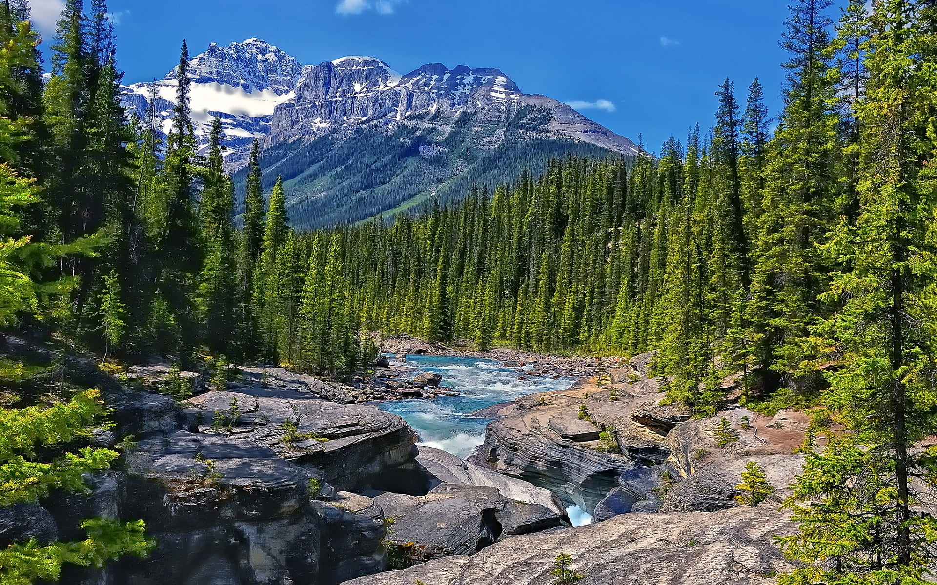 Nighttime encounter by three brothers in northern Alberta Sasquatch