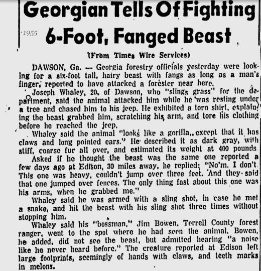 Interesting newspaper articles from the past sasquatch chronicles