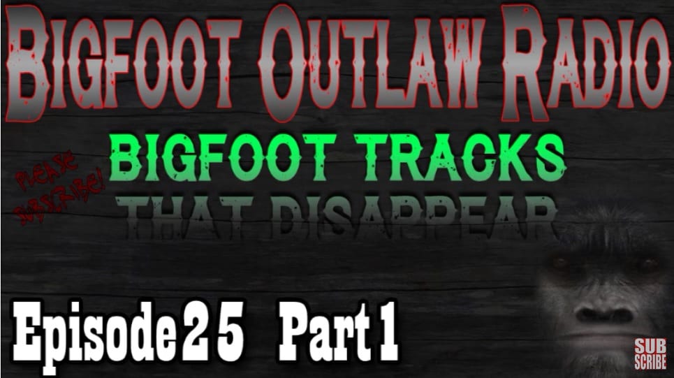 bigfoot radio controlled truck