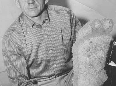 Bigfoot The Curiosities Of 1958 Sasquatch Chronicles bigfoot-the-curiosities-of-1958-sasquatch-chronicles