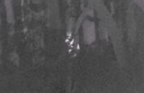 Possible Skunk Ape Caught On Camera (Breakdown) - Sasquatch Chronicles