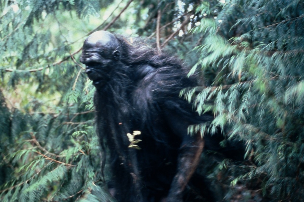 Bigfoot No Mori