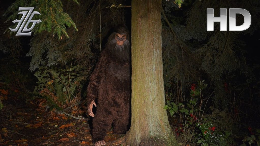 Полная карта sasquatch