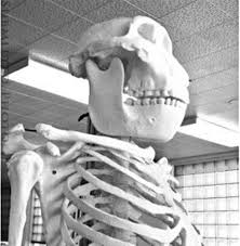3D-Printing a Bigfoot Skeleton - Sasquatch Chronicles