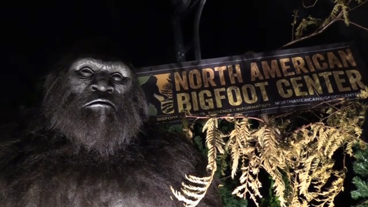 Bigfoot Museum In Oregon Sasquatch Chronicles