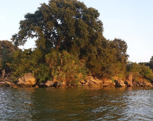 Lake Worth Monster - Sasquatch Chronicles