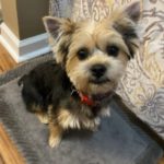 Profile picture of Ned S