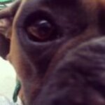 Profile picture of Amber H